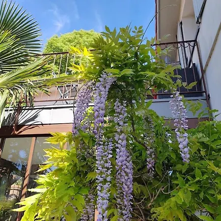 Appartement Climatise Terrasse Vue Sur Et Les Quais De Saone *