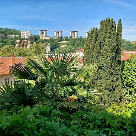 Climatise Terrasse Vue Sur Et Les Quais De Saone * Lyon