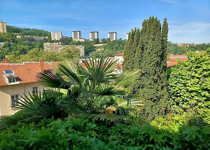 Climatise Terrasse Vue Sur Et Les Quais De Saone * Lyon